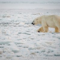 10 - Wilson (Wai Yin) Cheung 